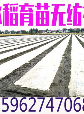 水稻育秧布农用无纺布花草树育苗抗老化土工布薄膜地膜透气懒汉膜