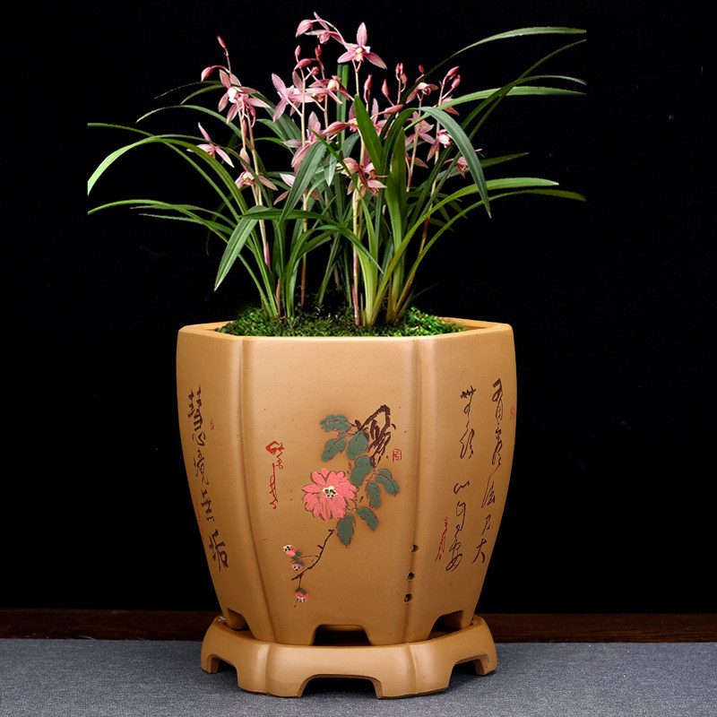紫砂兰花专用盆手工陶瓷盆景花瓶精品绿植古典兰花君子兰家用花盆