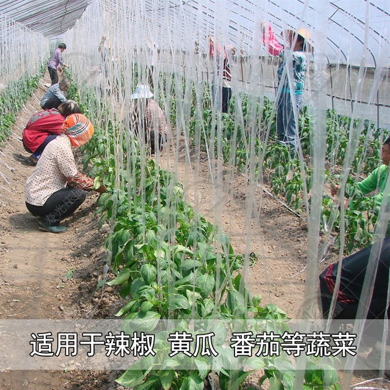 吊秧绳大棚专用绳吊蔓绳瓜果塑料吊绳西红柿黄瓜蔬菜辣椒番茄吊线