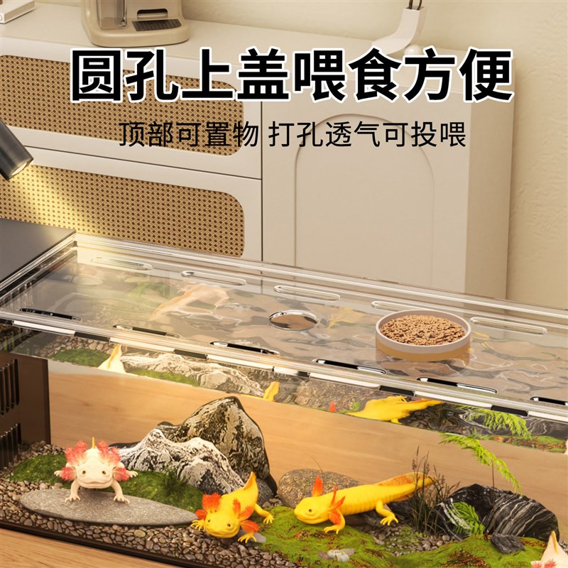 鱼缸六角恐龙鱼专用缸桌面造景蝾螈饲养缸一体成型溪流缸侧滤鱼缸