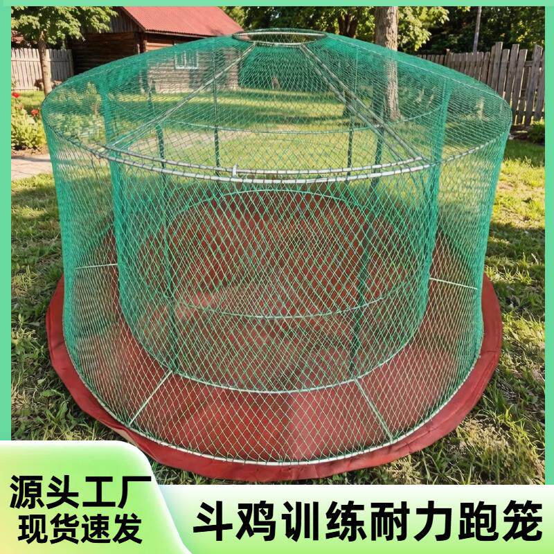 斗鸡跑笼双层训练笼子鸡笼双层斗鸡训练国产跑笼斗鸡鸡笼折叠包邮
