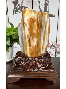 缅甸树化玉原石天然桌面奇石头客厅家居装饰品乔迁送礼工艺品摆件
