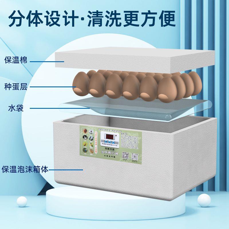 小型家中大型300水床孵化器一整套懒人鸡鹅智能恒温