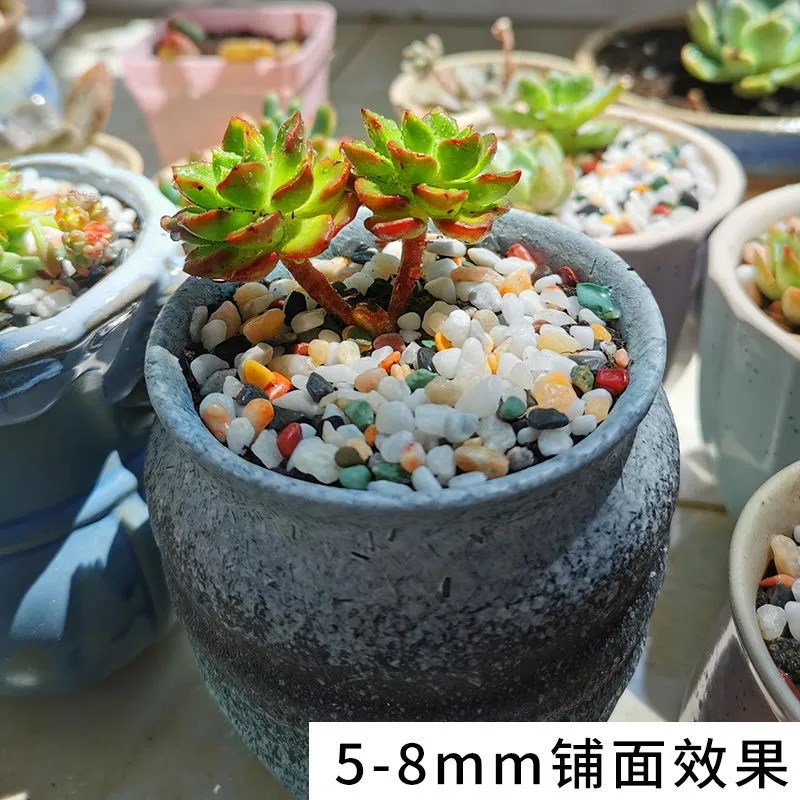 天然雨花石原石鱼缸底砂火山石造景小石头装饰彩色石子五花石龟缸