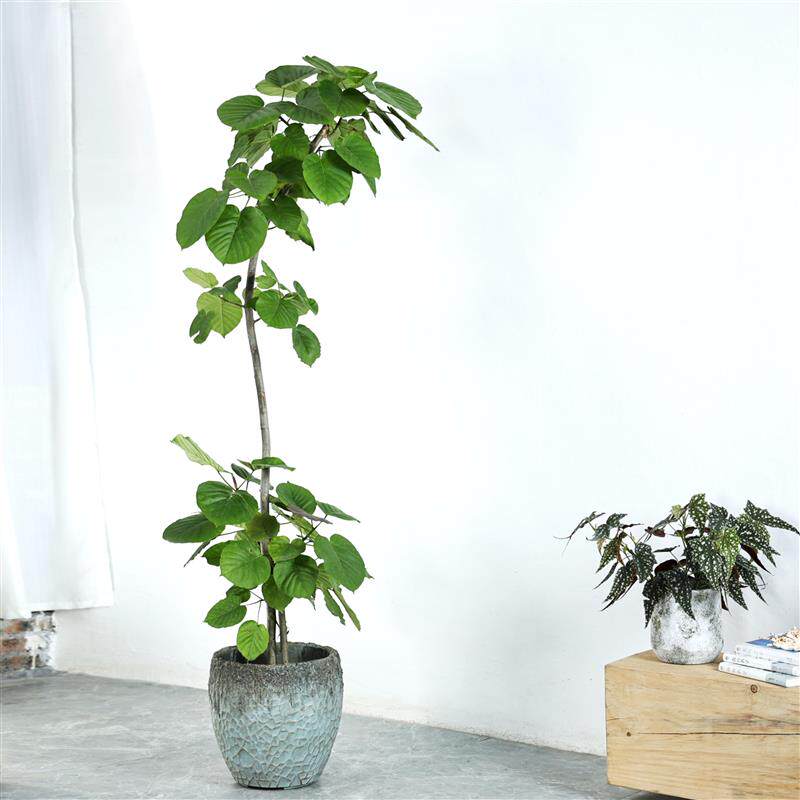 复古龟背纹小众水泥落地大花盆龙血树龟背芋种植盆大口径高款花器