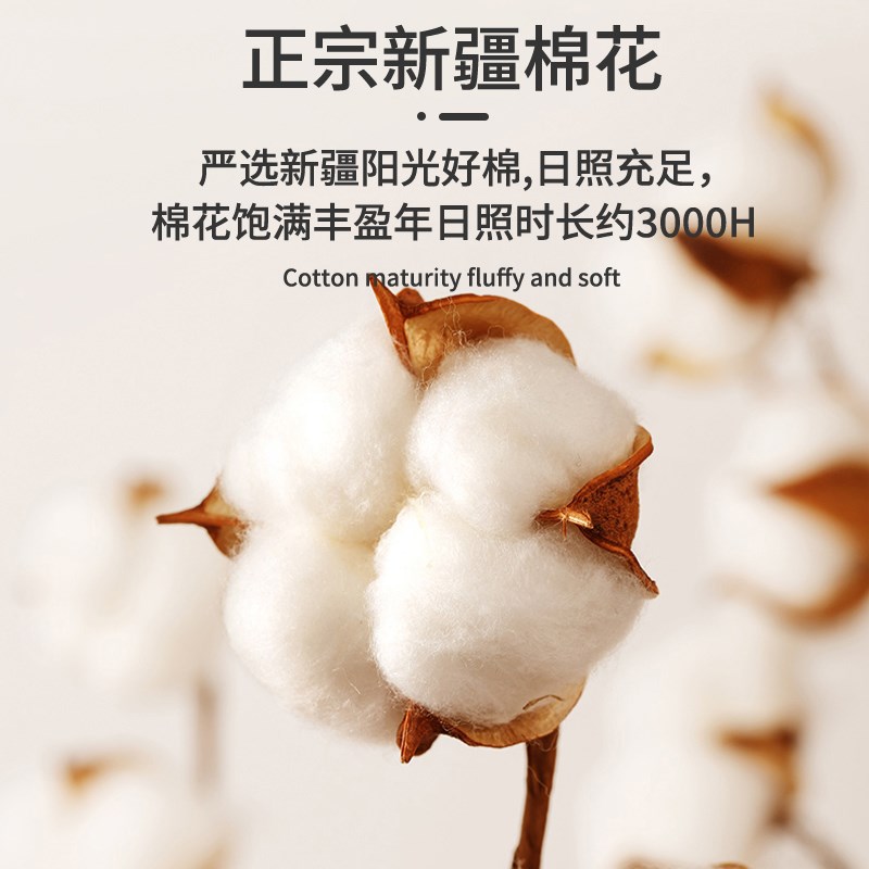 夹棉床笠2025新款四季通用床罩单件床垫保护罩隔脏防尘全包床单套