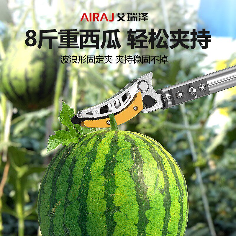 高枝剪摘水果伸缩杆采摘高空剪果树修剪树枝专用剪刀摘果修枝剪枝图片