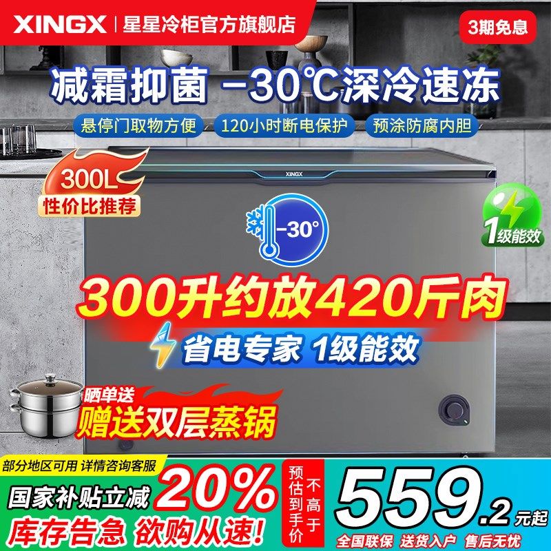 星星冰柜家用100/240/300升L小型减霜薄门商用冰箱柜冷藏冷冻冷柜