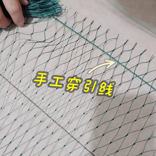 大棚风口防鸟网葡萄棚围边网天沟网养殖用网防护网稻田菜地防鸡网