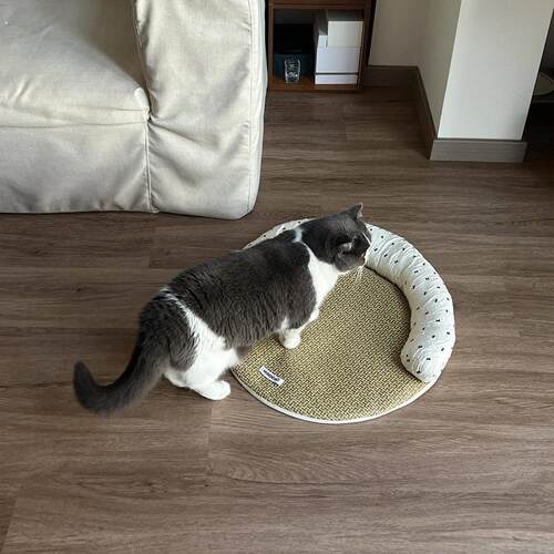 春夏猫狗垫子藤编凉席可拆洗猫窝宠物沙发四季通用中小型降温狗窝