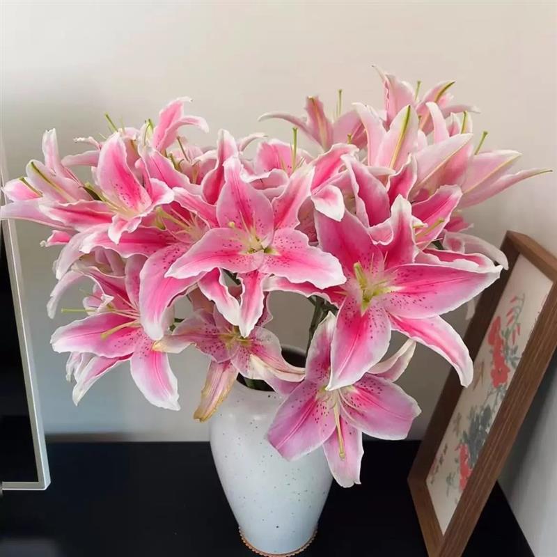 云南直发鲜切花水培养花各品类超连结香水百合花束高级感瓶插花真