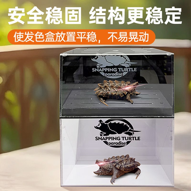乌龟发色盒育龟苗桌面缸小型防逃鳄龟专用缸底滤沉淀板隔离饲养盒