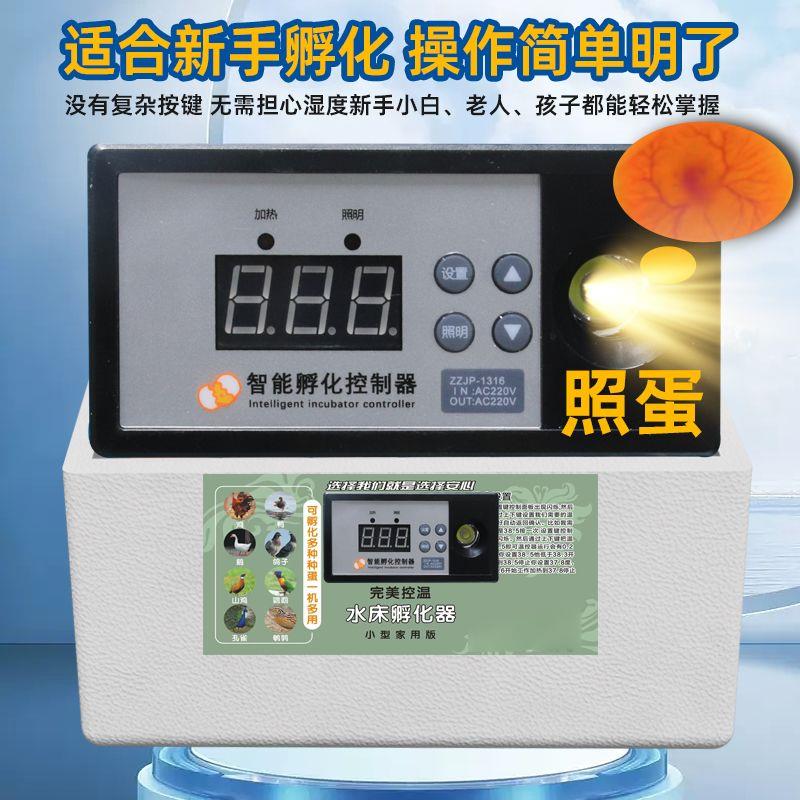 小型家中大型300水床孵化器一整套懒人鸡鹅智能恒温