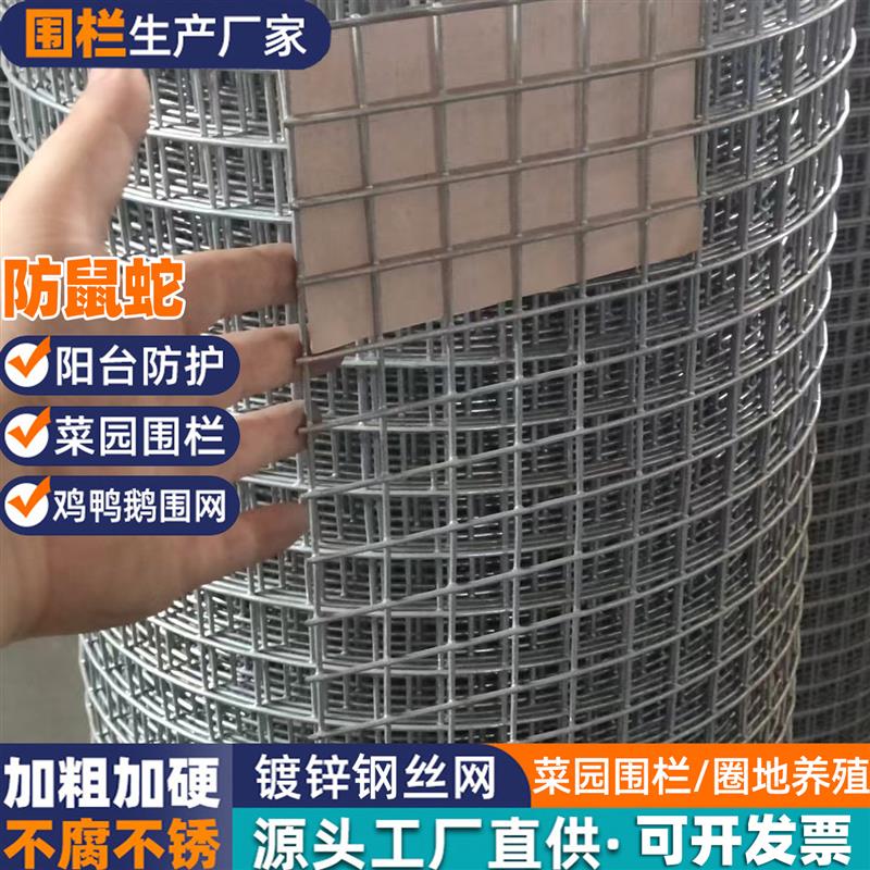 镀锌钢丝网小孔加粗防鼠蛇养鸡围栏网圈地隔离防护网电焊网铁丝网