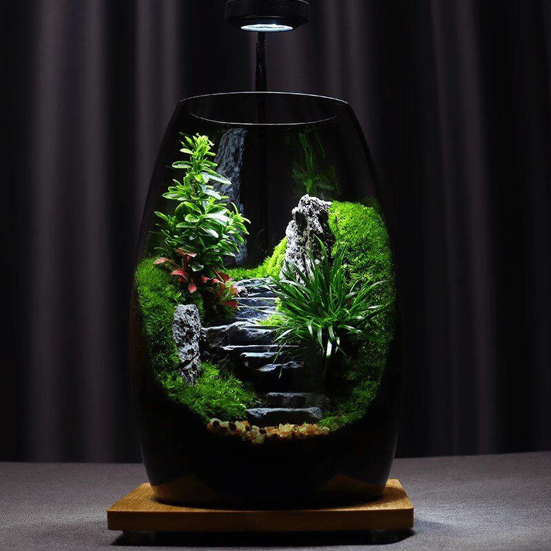 苔藓微景观生态桌面造景盆栽植物创意小摆件悟空绿植玻璃养鱼缸