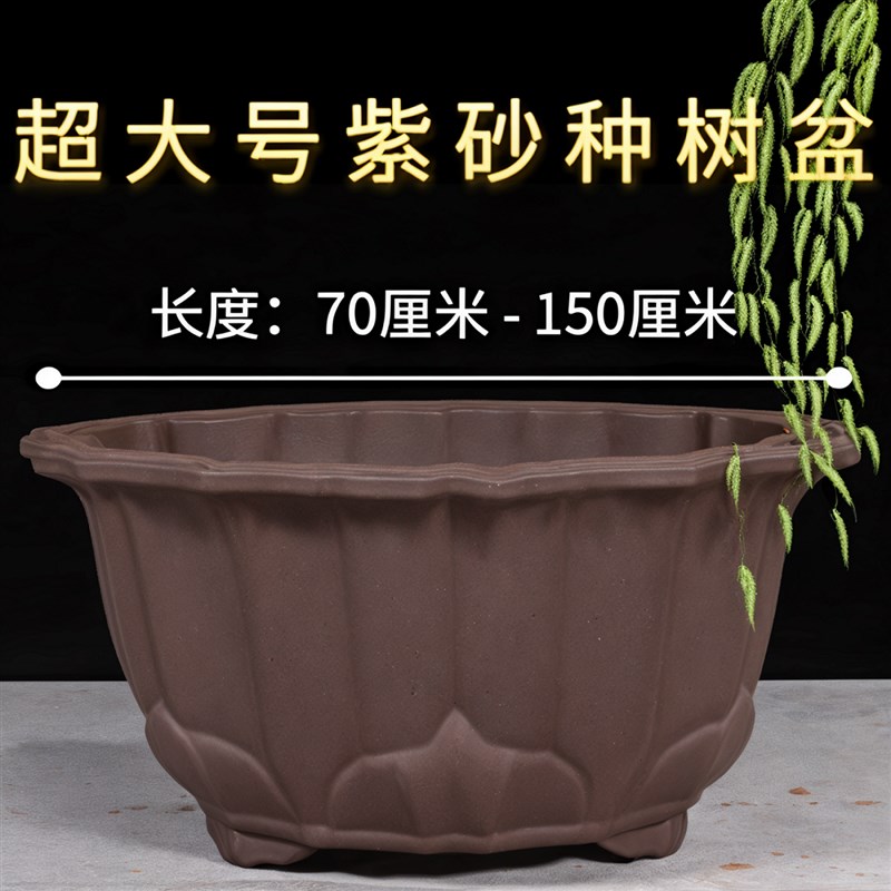 大口径紫砂莲花盆种树盆特大超大紫砂花盆高档高端大气莲花宜兴