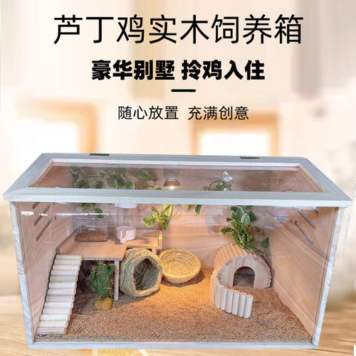 鹦鹉笼子 芦丁鸡饲养箱宠物保温恒温箱 蛇仓鼠蜥蜴守宫四季宠物箱