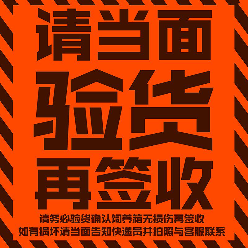 爬虫陆龟饲养箱蜥蜴刺猬蛇鸟乌龟爬宠加热保温箱PVC箱