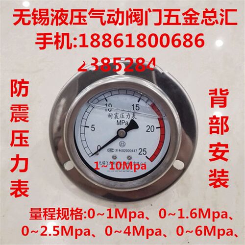 耐震压力表0~1Mpa/2.5/60公斤轴向带边充油压YN60表面背部安装