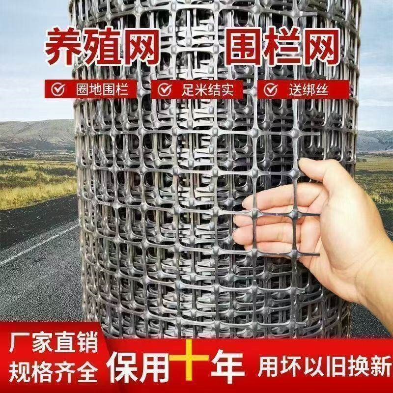 特厚塑料围栏网养鸡鸭果园菜园鱼塘防护网养殖网玉米网圈地栅栏网