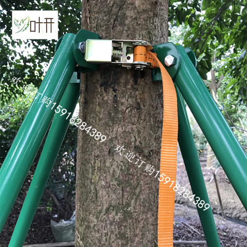 镀锌钢管树木支撑架防风树木支撑杆紧带式固定器园林绿化
