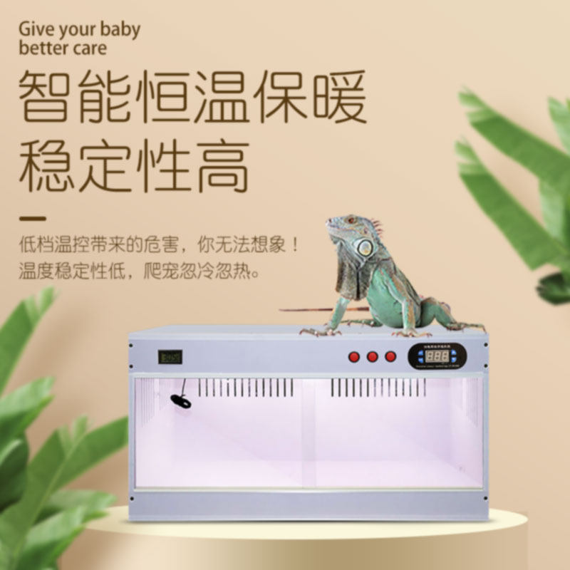PVC爬宠鬃狮蜥芦丁鸡饲养箱保温恒温加热智能暖蓝舌蜴蛇乌龟异虫