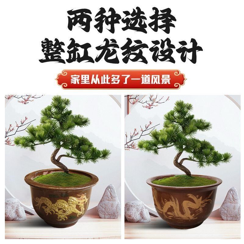 龙缸花盆特价陶瓷盆景大口径铁树盆透气庭院特大型陶土大缸盆清仓