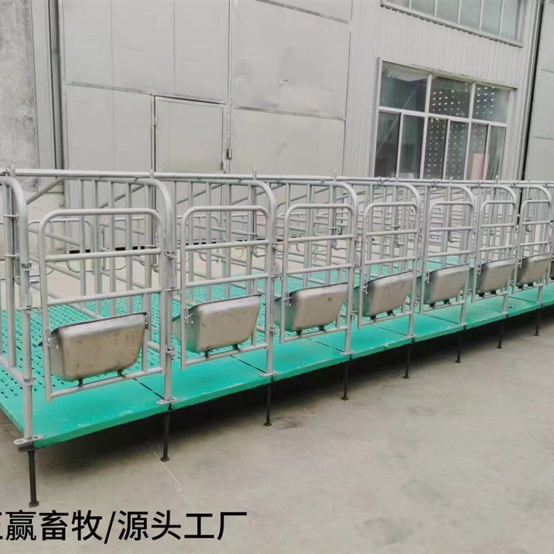母猪定位栏养猪场设备限位栏带漏粪板定位栏热镀锌猪用复合定位栏