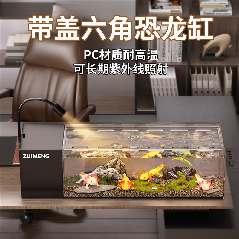 六角恐龙鱼专用缸增氧过滤一体侧滤溪流鱼缸长方形带盖蝾螈饲养盒