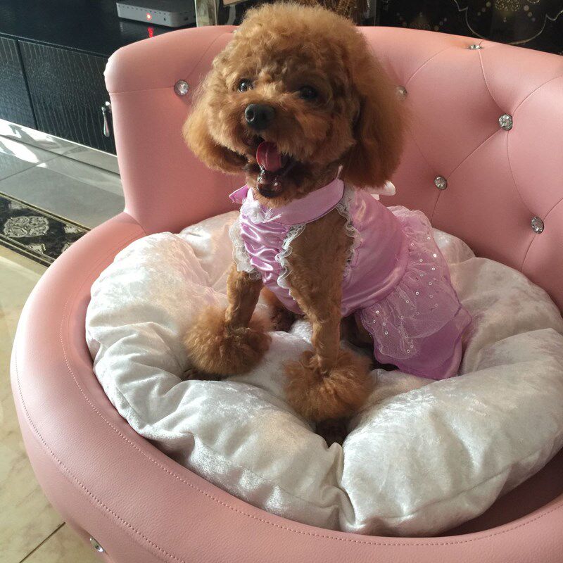 狗窝小型犬 泰迪夏天 小别墅 四季通用宠物窝公主可拆洗狗床狗屋