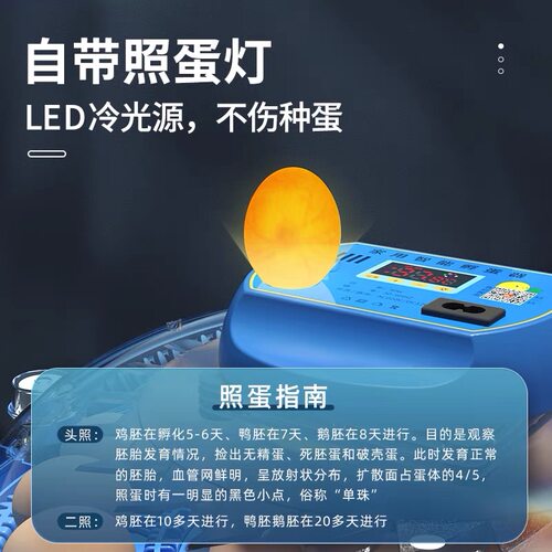 小飞碟孵化器全自动智能孵化器小型家用孵化器鹦鹉芦丁鸡鸡鸭鹅孵