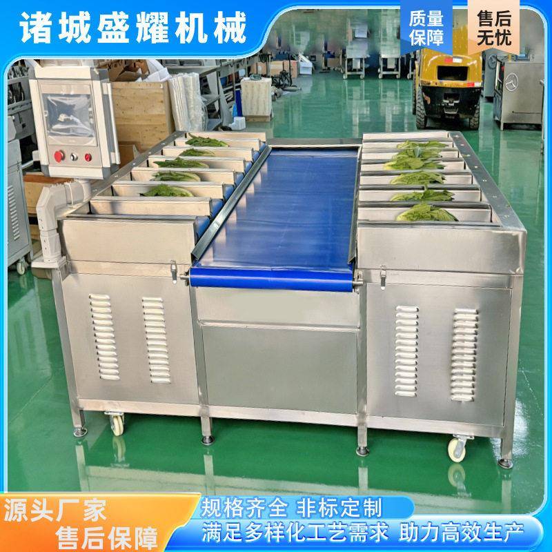 冷度生冻鲜精度重设备柑橘精定量VLA称重机粽子定称量组合皮带秤