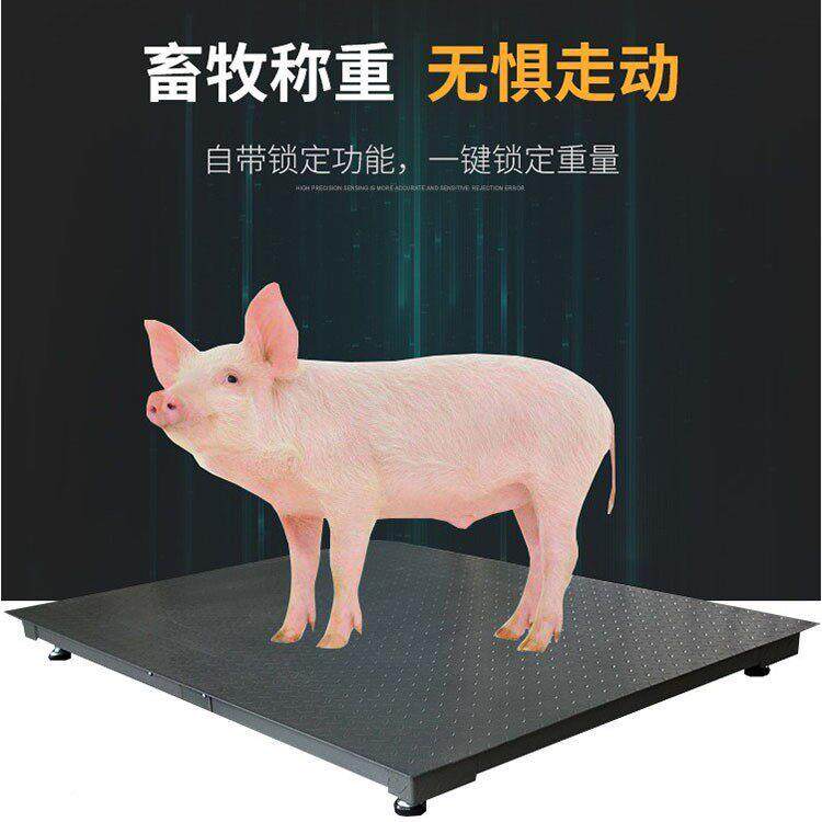 猪牛羊防抖动精华鑫度地称秤电子小地磅1-3吨磅称地工业重平台磅