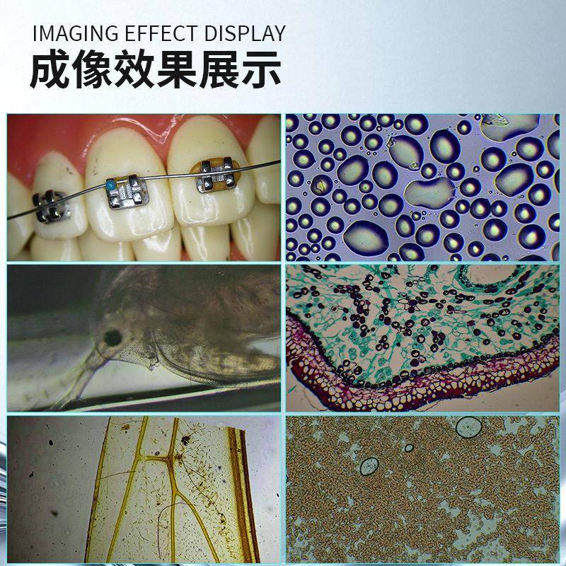 三泰达手牙术锵练习三目体视显微镜科口腔根管眼科手机维显修无品