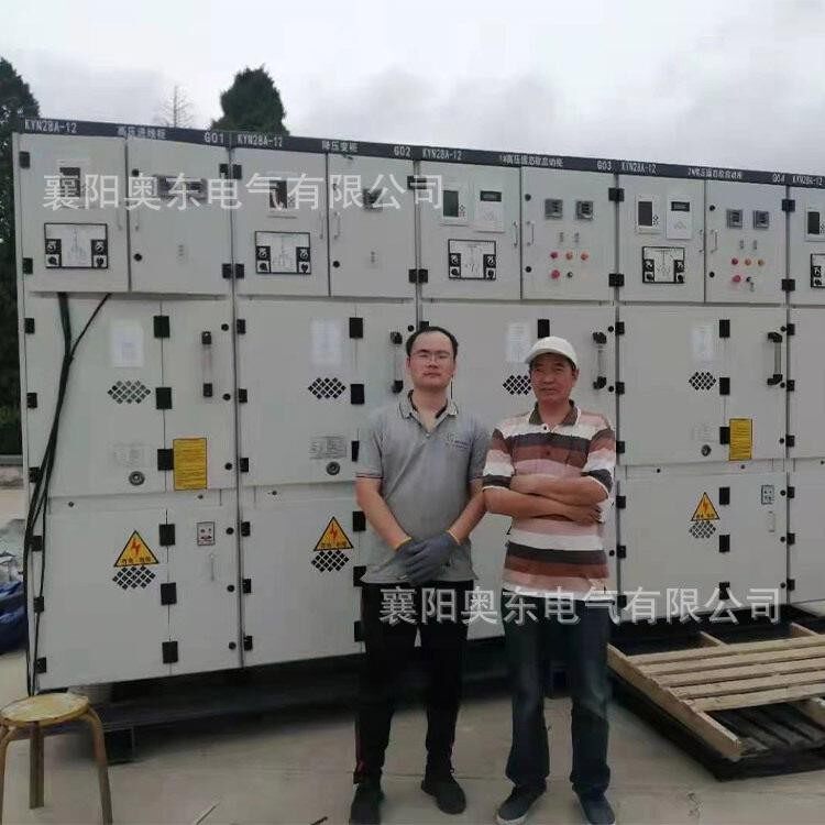 甘肃阳市 庆压固态软启 10KV软起动器电价DKN格  优选奥东动气