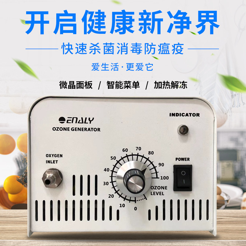 商业实验室用臭氧发生器活氧解毒机杀菌去农残污水净化消毒enaly