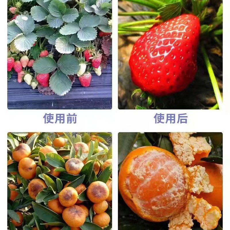 钙镁铁锌硼【40斤整袋包邮】多元素水溶肥叶面肥钙肥硼肥铁肥镁肥