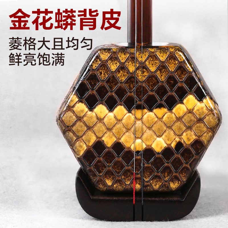 二胡乐器明清旧料老红木二胡藏品专业演奏考级收藏二胡琴全套配件