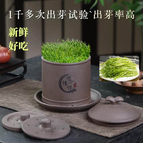 新品生发芽天然紫砂豆芽罐可发多种豆芽菜苗家用健康大容量豆芽机