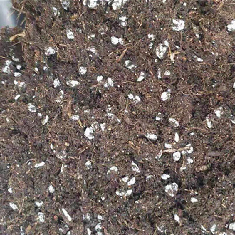 配方基质泥炭草炭蔬菜育苗扦插多肉花卉园艺营养土种植苗圃栽培
