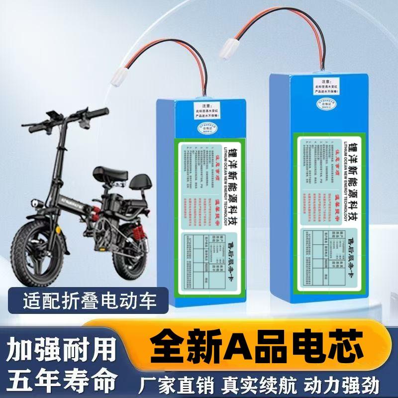 通用滑板车锂电池48V10a12a折叠车36V小海豚60V15a20a代驾车电池
