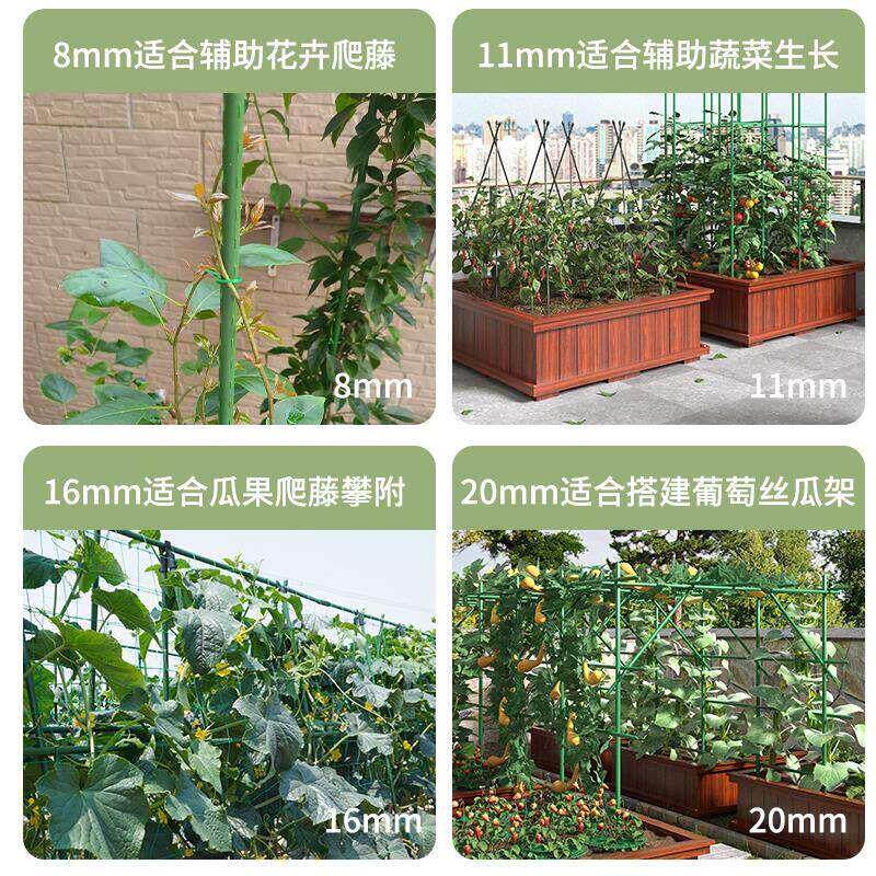 爬藤架花架包塑钢管月季豆角番茄黄瓜园艺固定杆葡萄植物支撑架