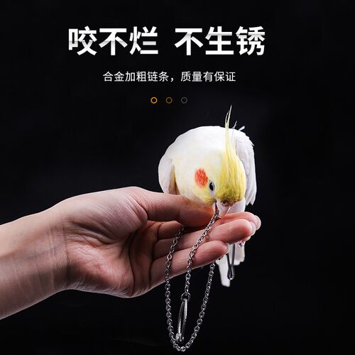 玄凤鹦鹉脚链脚环虎皮牡丹鸟用架子站架链子活扣不伤脚放飞绳用品