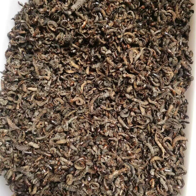 画眉鸟食鸟饲料鸟粮鸟料水蜈蚣爬沙虫河虫提性壮瞟上力耐斗干货虫