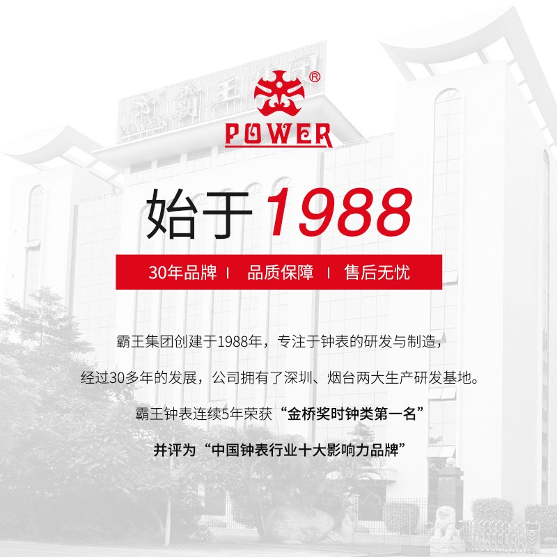 霸王钟表客厅方形时尚简约挂钟家用创意大气挂表静音欧式石英时钟