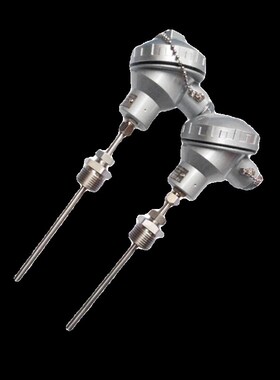wzpk2-236s 铂热电阻 wzpk236 L=200mm 0~450 活动卡套 m20*1.5