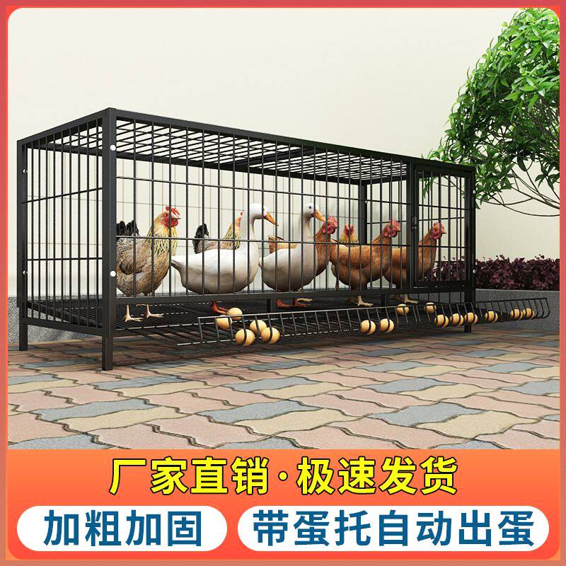 鸡下蛋的笼子养鸡笼家用养殖笼家用铁笼鸡舍家用蛋鸡笼特大号