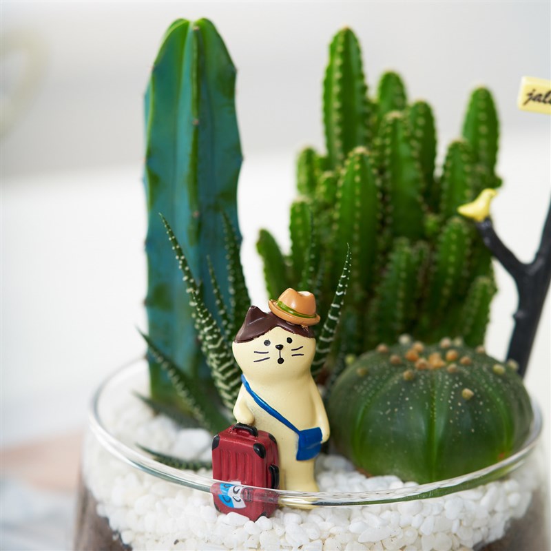 【DIY】仙人掌盆栽组合多肉植物万重山办公室工位桌面创意绿植