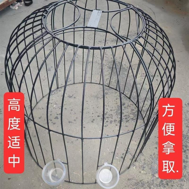 斗鸡铁笼斗鸡罩笼斗鸡笼子家用钢筋斗鸡笼加粗斗鸡折叠大号罩笼子