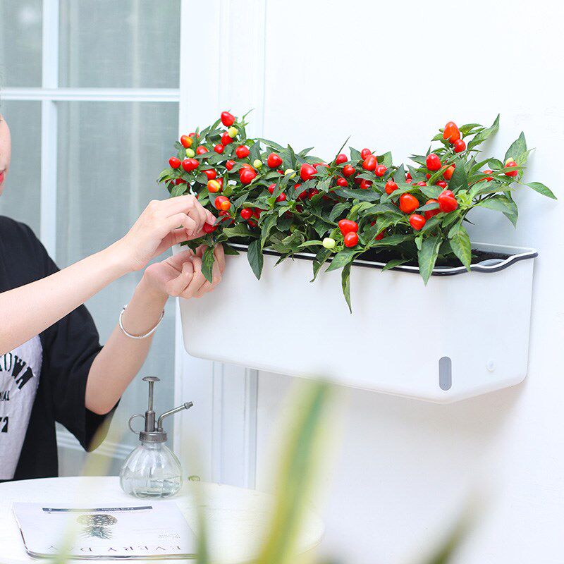 阳台花架子大口径花盆长方形草莓多肉种植箱懒人控根盆大花槽容器